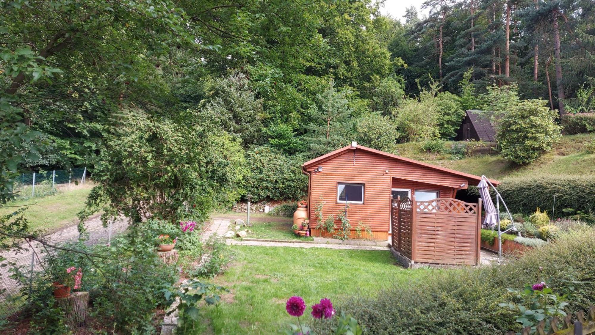 Villa Ferienhaus In Geesthacht-Tesperhude Direkt Am Waldrand Exterior foto