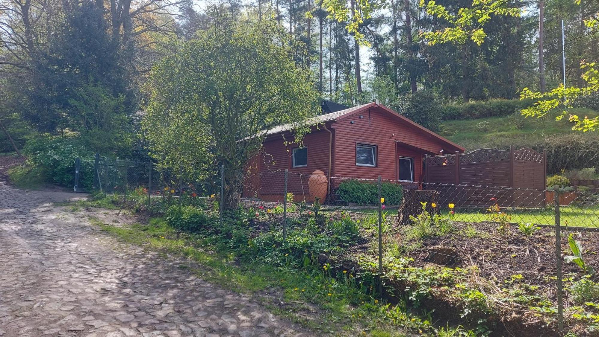 Villa Ferienhaus In Geesthacht-Tesperhude Direkt Am Waldrand Exterior foto